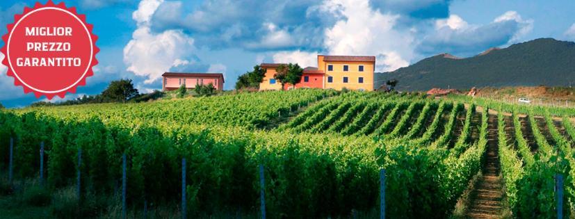 Tenuta Grimaldi Wine Resort Matelica Exterior photo